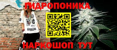 Альфа ПВП Будённовск