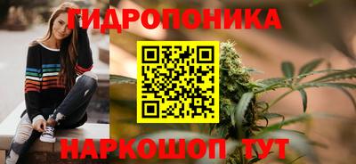 Альфа ПВП Будённовск