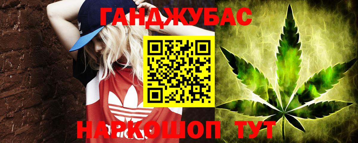 Каннабис планчик  Вход с VPN  Бошки Шишки тримм  Каннабис индика  Саратов  Бошки Шишки гибрид 